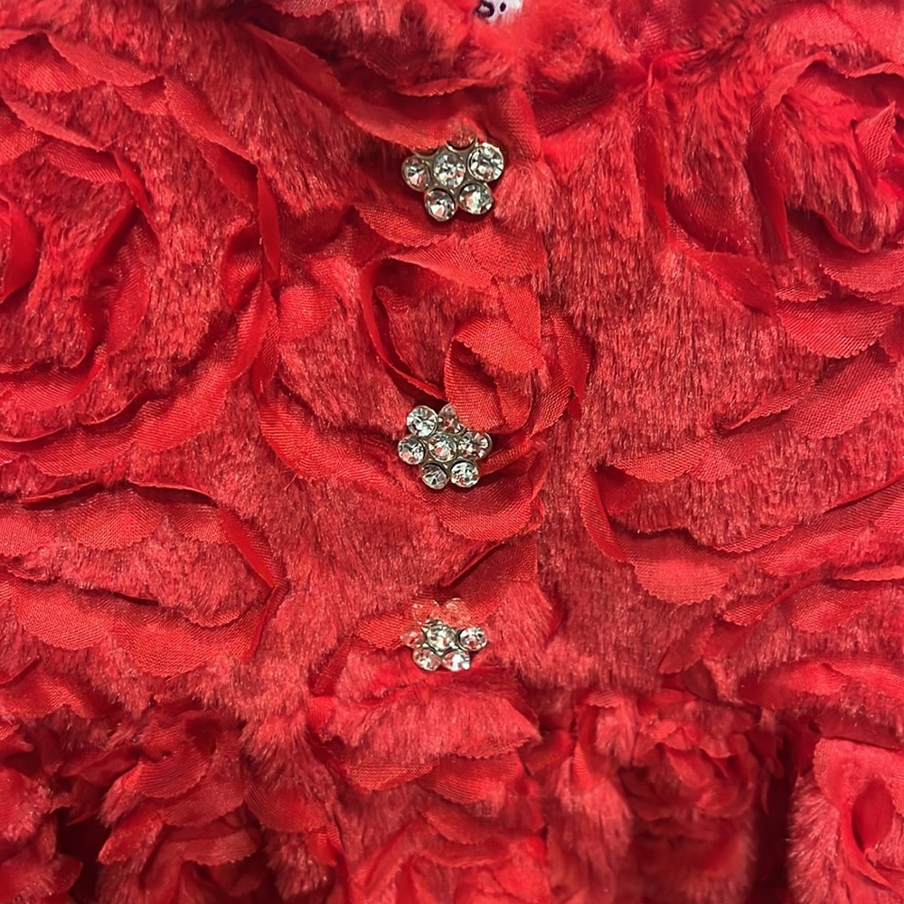 Blueberi Boulevard Red Floral Kids Coat, size 4T - Picture 5 of 10